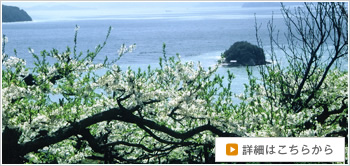 小豆島フォトギャラリーの詳細へ