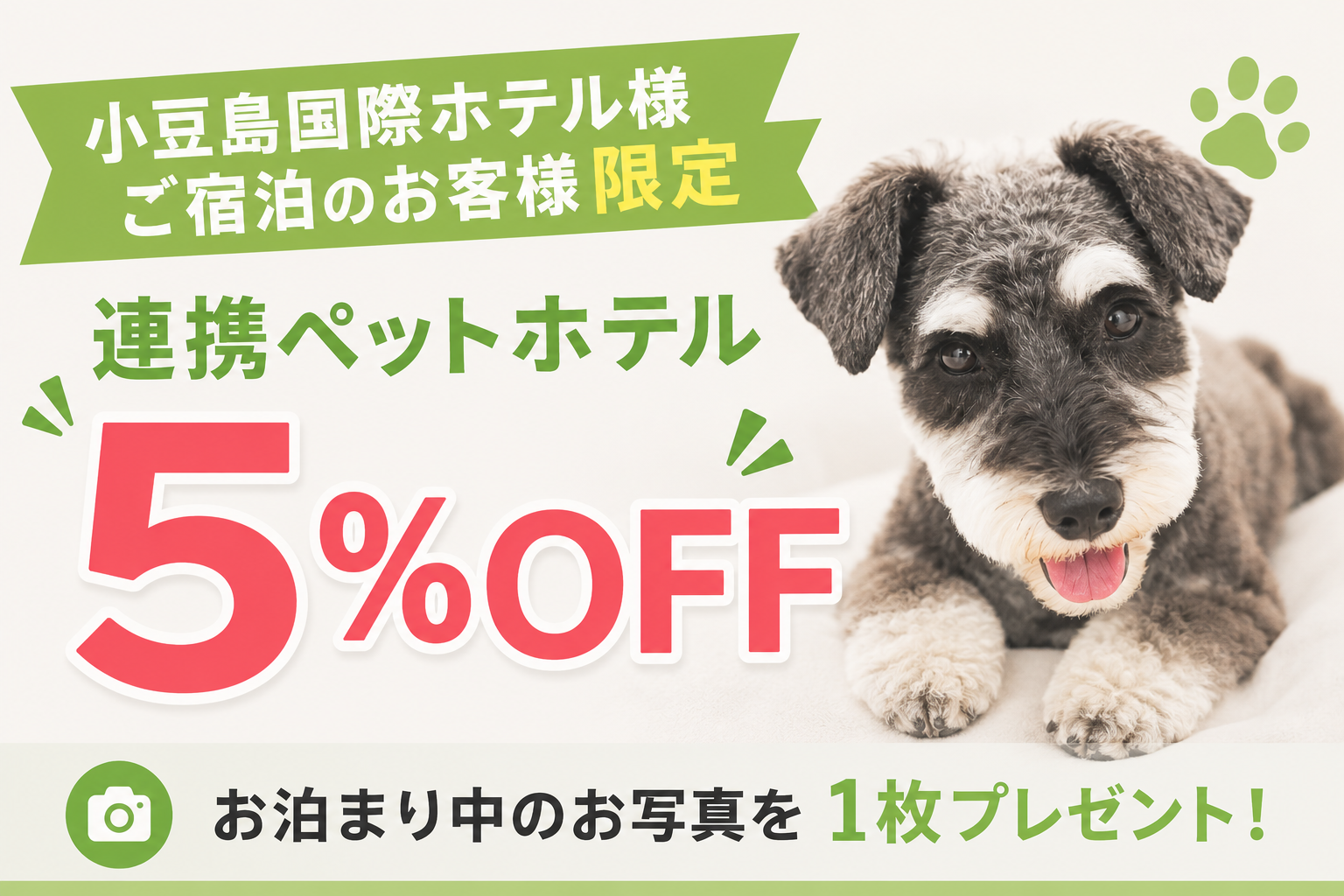 小豆島国際ホテルご宿泊のお客様限定 連携ペットホテル5%OFFキャンペーン。お泊まり中のお写真を1枚プレゼント 詳しくはこちら